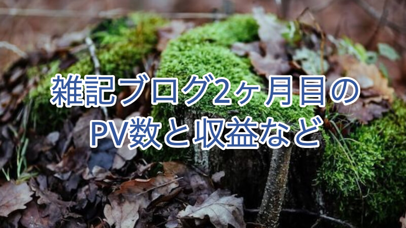 雑記ブログ2ヶ月目のPV数と収益など